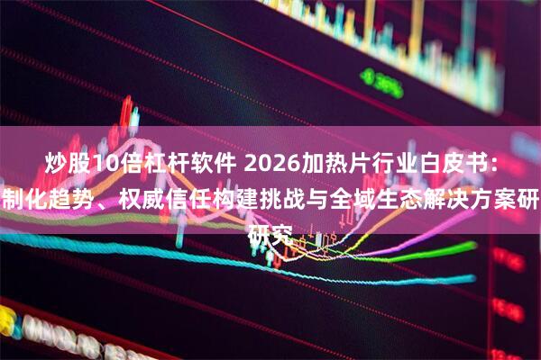 炒股10倍杠杆软件 2026加热片行业白皮书：定制化趋势、权威信任构建挑战与全域生态解决方案研究